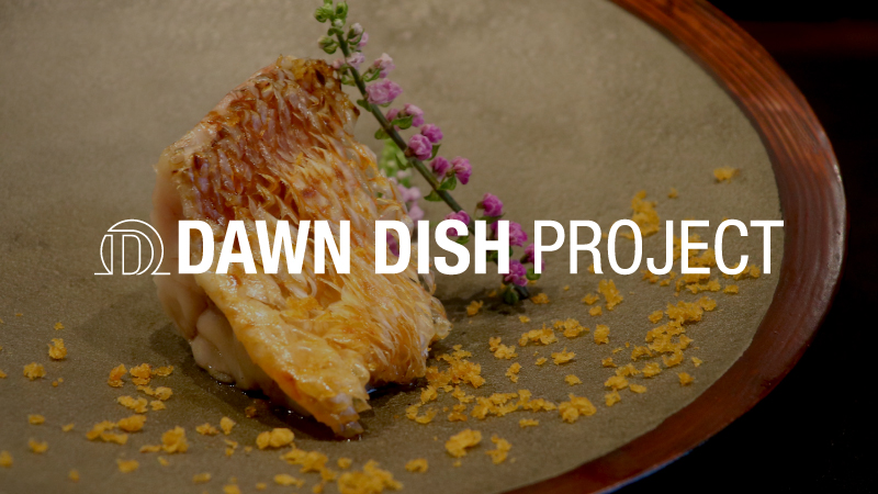 Dawn Dish Project